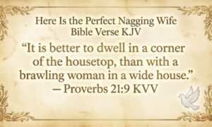here-is-the-perfect-nagging-wife-bible-verse-kjv